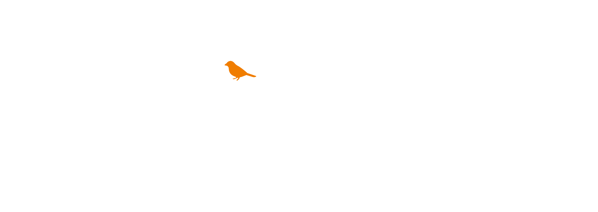 Logo officiel Finch Capital