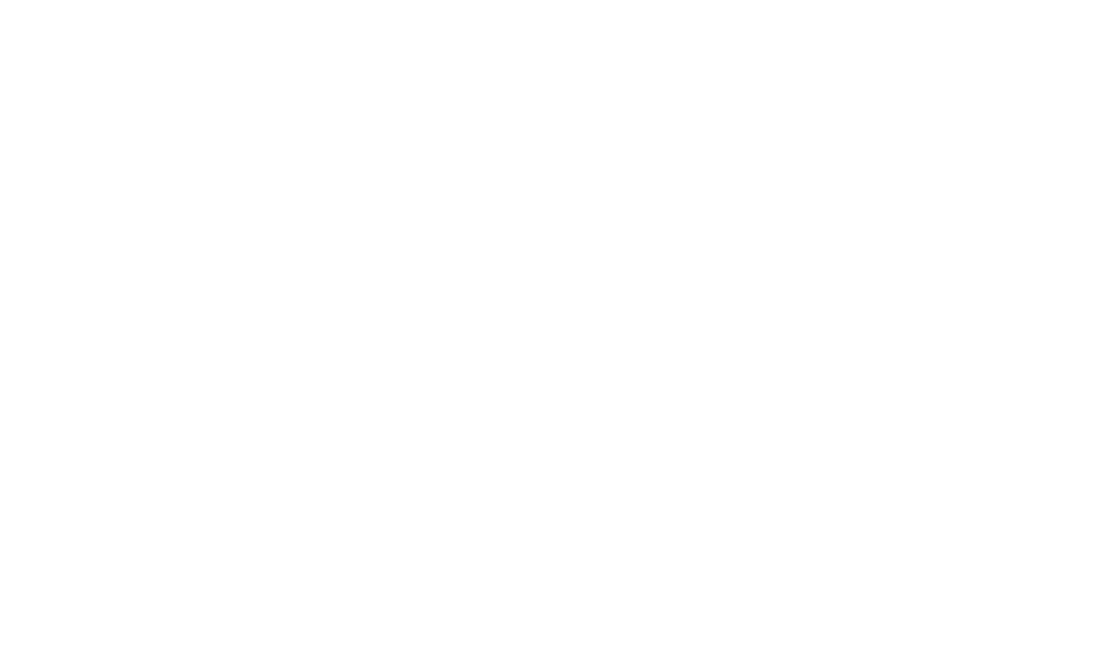 Logo officiel SAVA