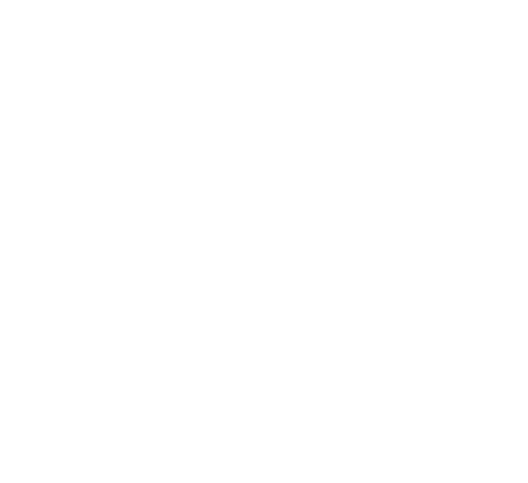 Logo officiel Stegra