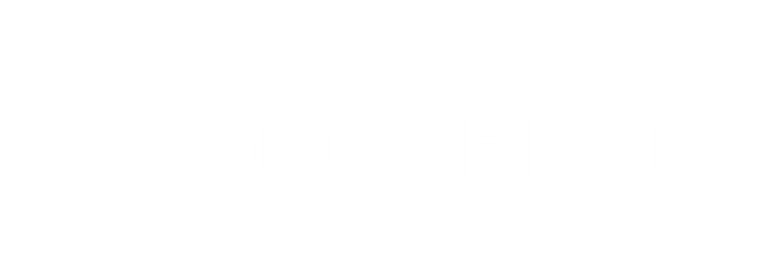 Logo officiel StormFisher